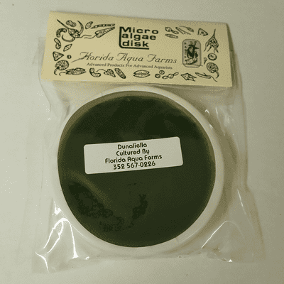 FLORIDA AQUA FARMS Phytodisk marine microalgae Dunaliella tertiolecta 10-12um