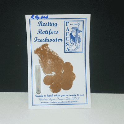 Live freshwater resting rotifer cysts