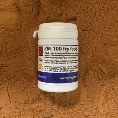 ZM-100 fry food