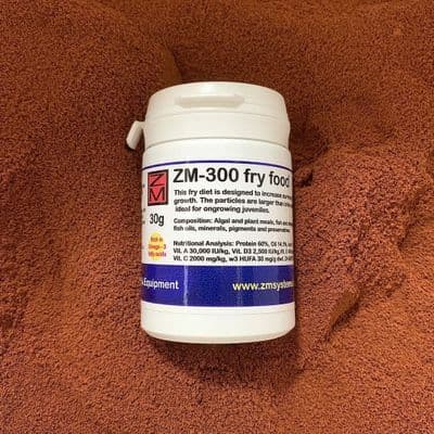 ZM-300 fry food