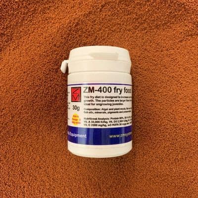 ZM-400 fry food