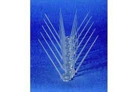 Bird Spikes