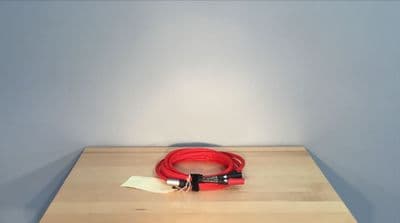 Chord Company Shawline 2 RCA to 5 PIN 2 metre Cable
