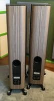 Focal KANTA N2 Walnut