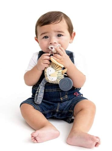 Cheeky Chompers Handychew