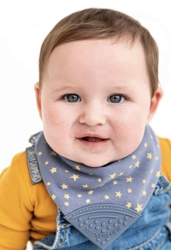 Cheeky Chompers Neckerchew Bib