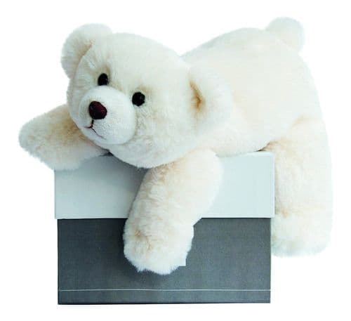 Historie D' Ours Snow Polar Bear
