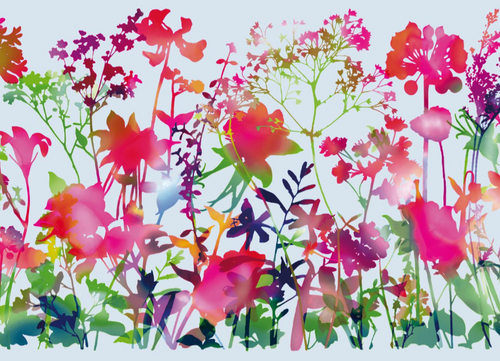 d-c-fix Miraflores Window Film Premium