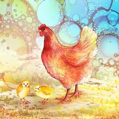 Chicken Ceramic Coaster By Jo Crafts