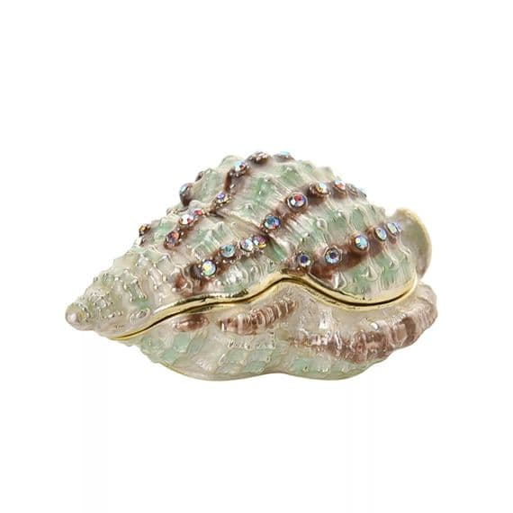 Conch Treasured Trinket Box