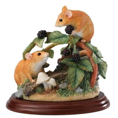 Dormice and Brambles - The Wildlife Collection Border Fine Arts