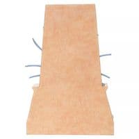 Emaciated Evil - Villain Yzma Figurine Disney Traditions Jim Shore