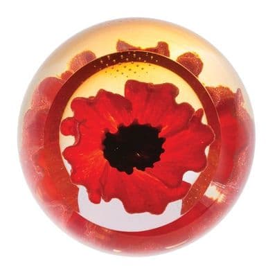 Floral Charms Red Poppy Paperweight - Caithness Glass