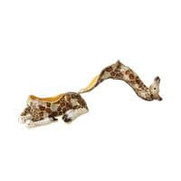 Giraffe Trinket Box - Treasured Trinkets by Sophia