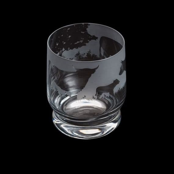 Highland Cattle Themed Tumbler - Aspect: Visions in Glass - Dartington Glass Tumbler
