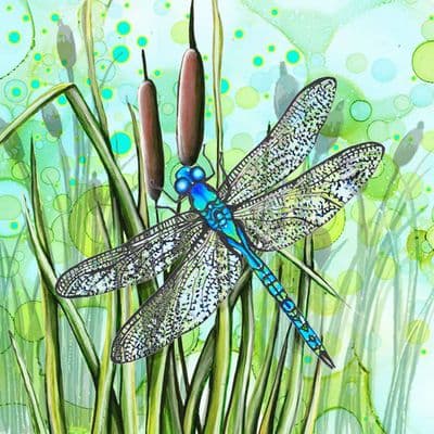 Insect Dragonfly Ceramic Coaster By Jo Crafts