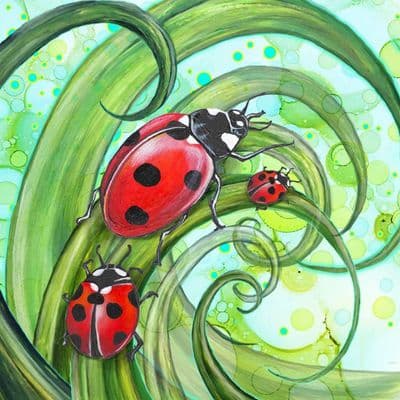 Insect Ladybird Ceramic Coaster By Jo Crafts