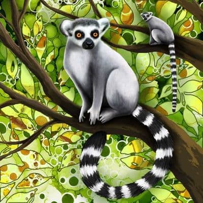 Lemur Ceramic Coaster By Jo Crafts