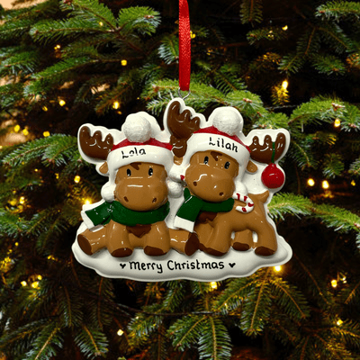 Personalised Moose Couple Christmas Tree Decoration