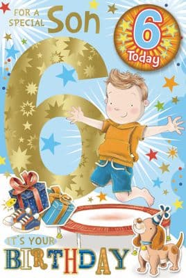 Son 6th Birthday Card with Badge