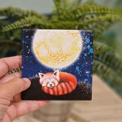 Stargazing Red Panda Ceramic Coaster By Jo Crafts