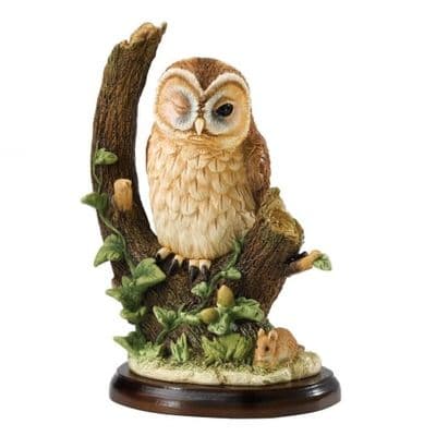Tawny Owl with Mouse - The Owl Collection  Border Fine Arts