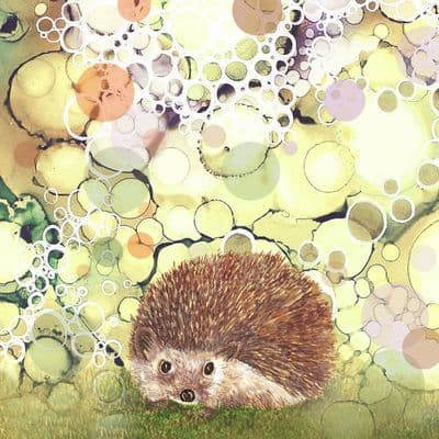 Woodland Wildlife Hedgehog Ceramic Coaster By Jo Crafts