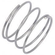 Comet Valve Spring 1802023600