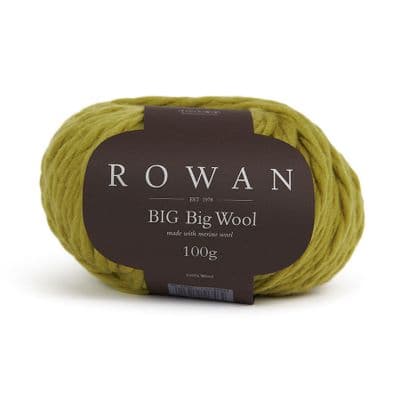 215 Carnival - Rowan BIG Big Wool - 100g balls