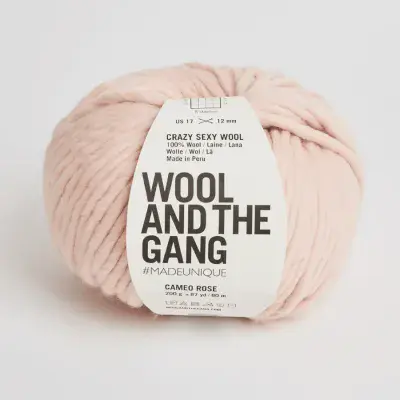 Cameo Rose - Wool and the Gang Crazy Sexy Wool -200g