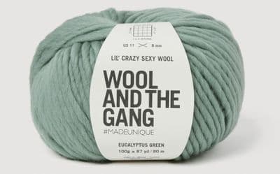 EUCALYPTUS GREEN - LIL' CRAZY SEXY WOOL - 100g balls
