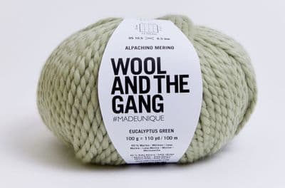 Eucalyptus Green - Wool and the Gang Alpachino Merino - 100g balls