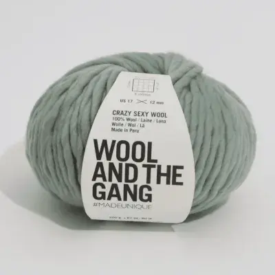 Eucalyptus Green - Wool and the Gang Crazy Sexy Wool -200g