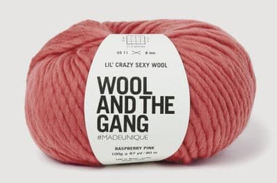 RASPBERRY PINK - LIL' CRAZY SEXY WOOL - 100g balls