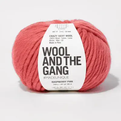 Raspberry Pink - Wool and the Gang Crazy Sexy Wool -200g
