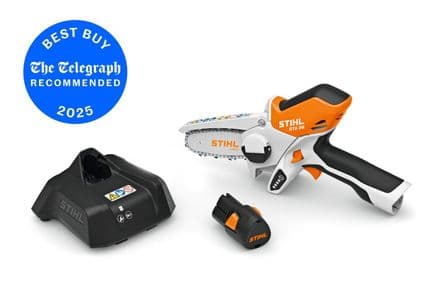 Stihl GTA 26 Cordless pruning Chainsaw kit