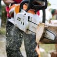 Stihl MSA 160 C-B Cordless Chainsaw