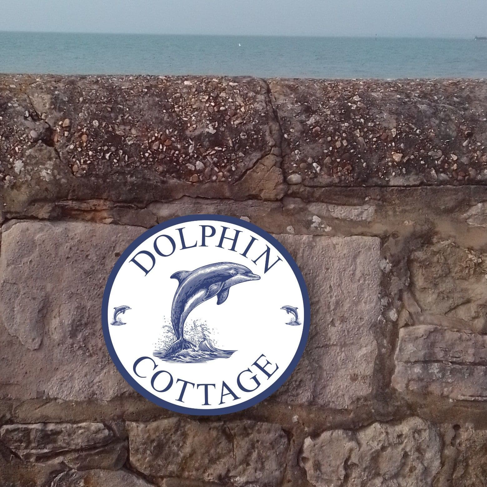 Swimming with dolphins?