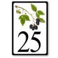 Blackberry house sign or bramble cottage sign