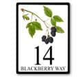 Blackberry house sign or bramble cottage sign