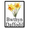 Daffodils house sign or wall plaque