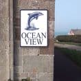 Dolphin house sign or wall plaque (1)