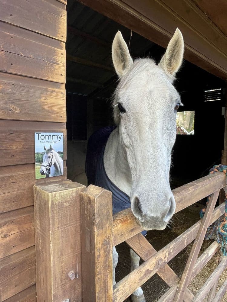 Stable Sign Racing Field Horse stable signs