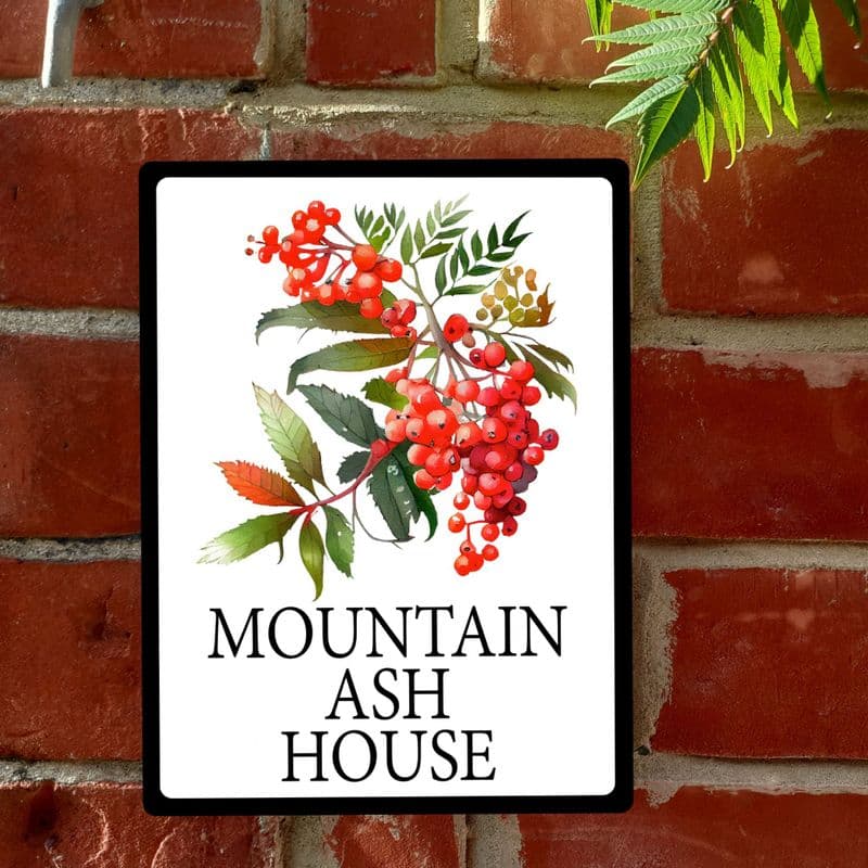 Rowan berries house sign or wall plaque