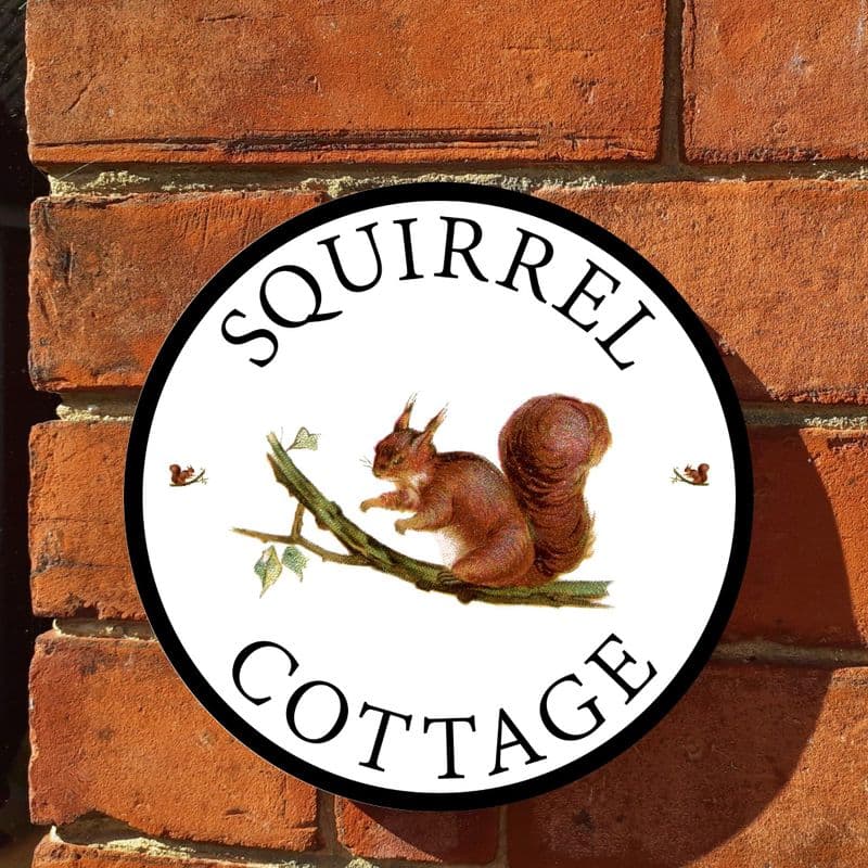 Squirrel house sign or wall plaque