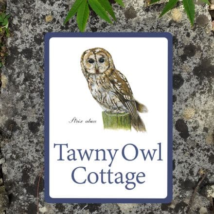 Tawny owl house sign or wall plaque