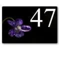 Violet house sign or wall plaque