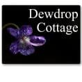 Violet house sign or wall plaque