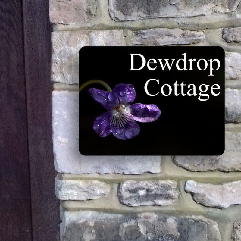 Violet house sign or wall plaque