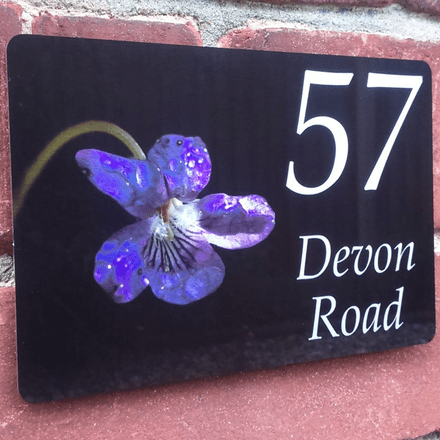 Violet house sign or wall plaque
